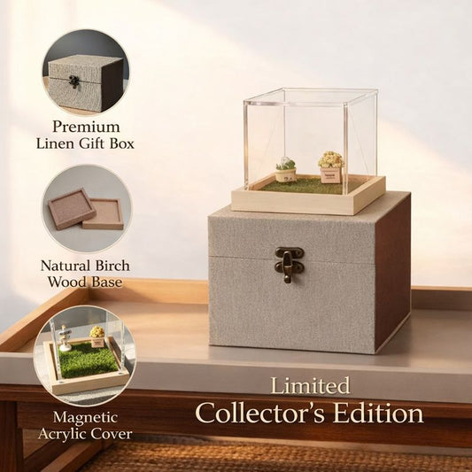 Holographic Digital Pet House, Pet Commemorative Ornament, High-Transparency Holographic Image, DIY Pet Project