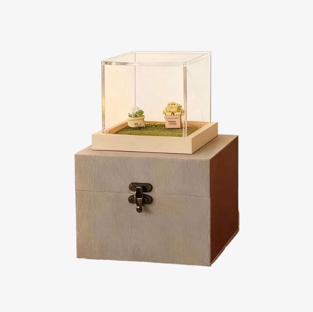 Holographic Digital Pet House, Pet Commemorative Ornament, High-Transparency Holographic Image, DIY Pet Project