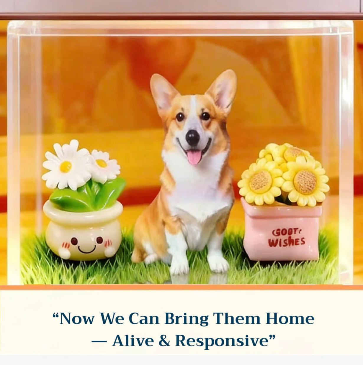 Holographic Digital Pet House, Pet Commemorative Ornament, High-Transparency Holographic Image, DIY Pet Project